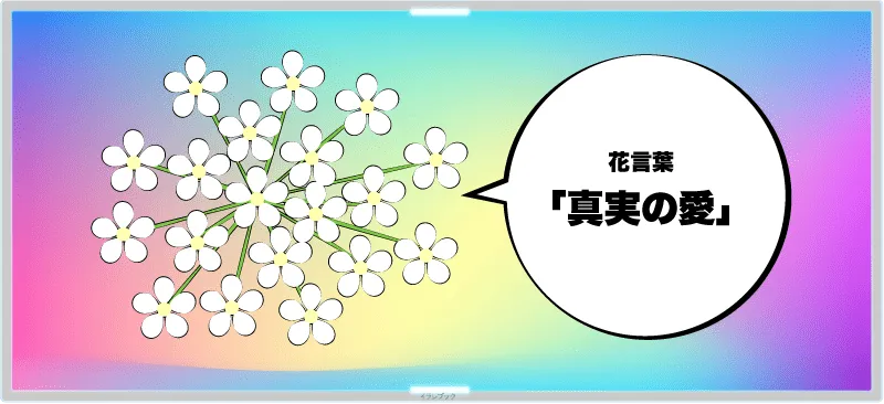 セロリの代表的な花言葉は「真実の愛」