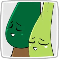 セロリ＆ヒノキ