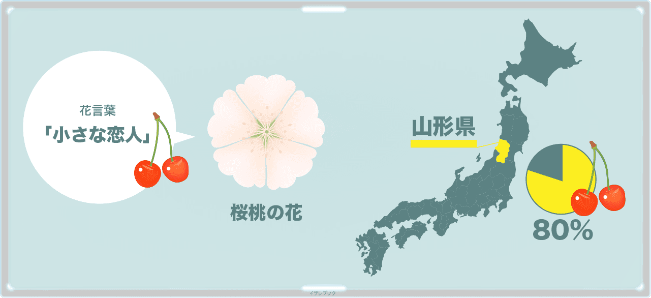 桜桃の花言葉は「小さな恋人」生産量ナンバーワンは山形県