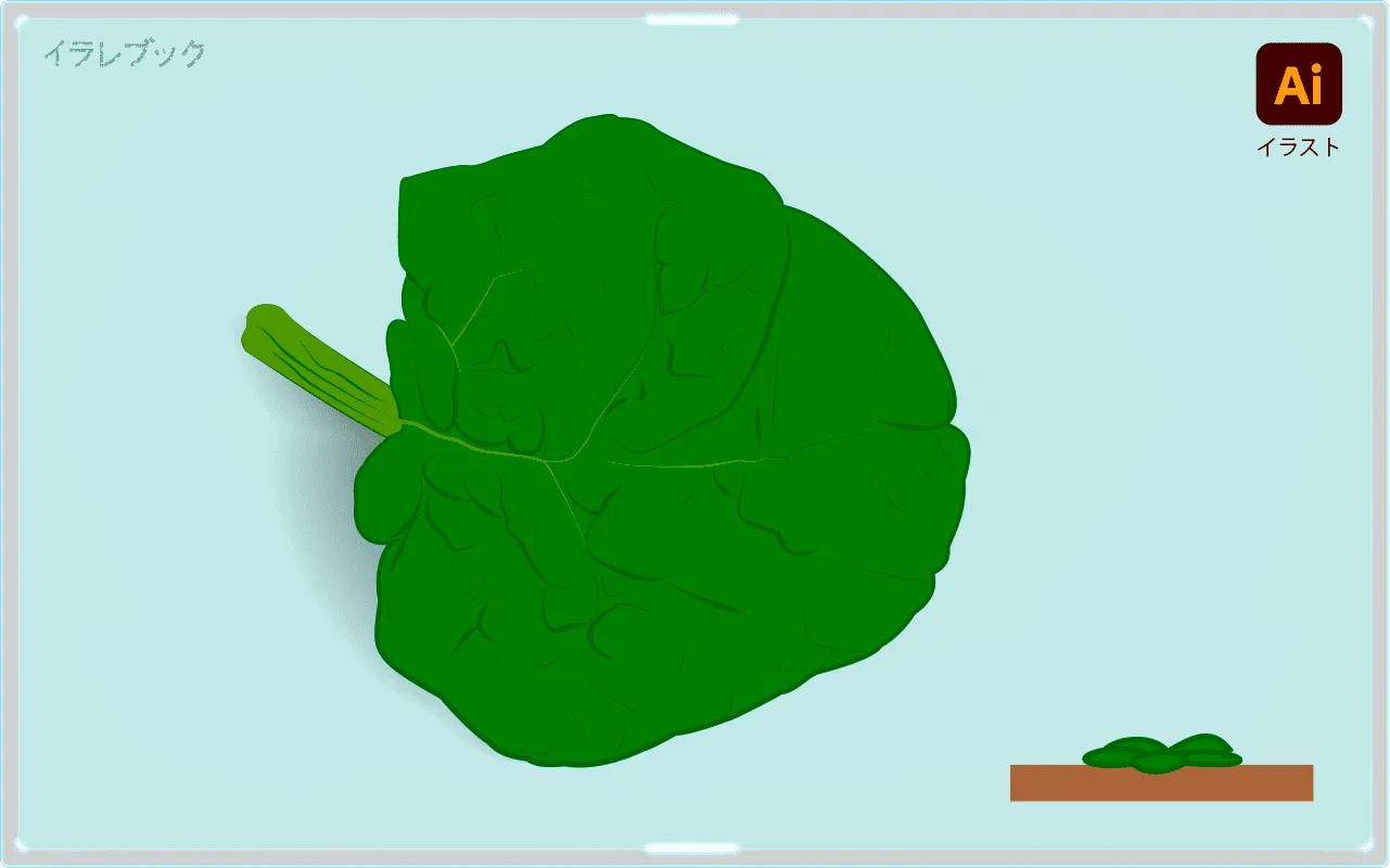 ちぢみほうれん草