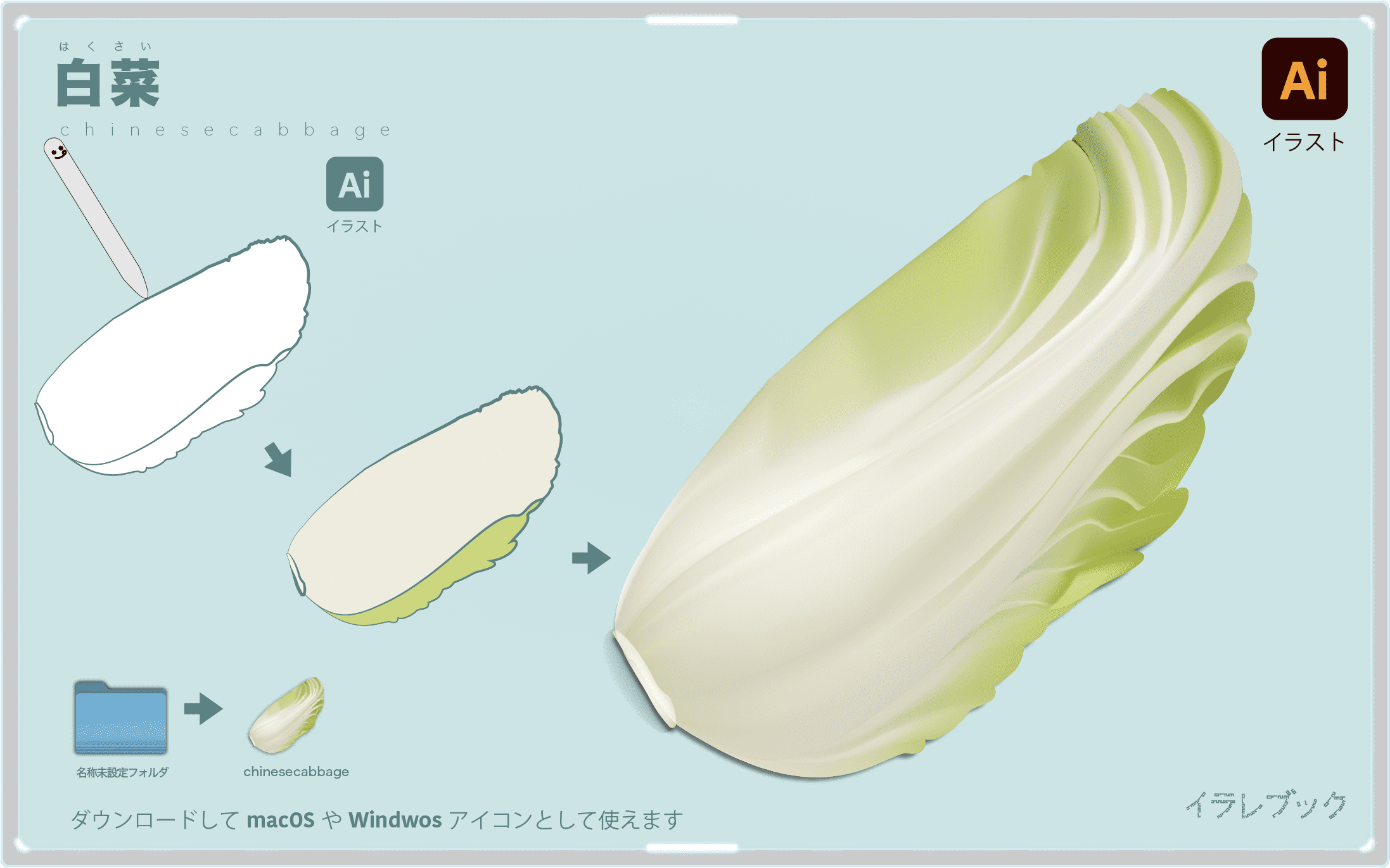 白菜イラスト　chinesecabbage2