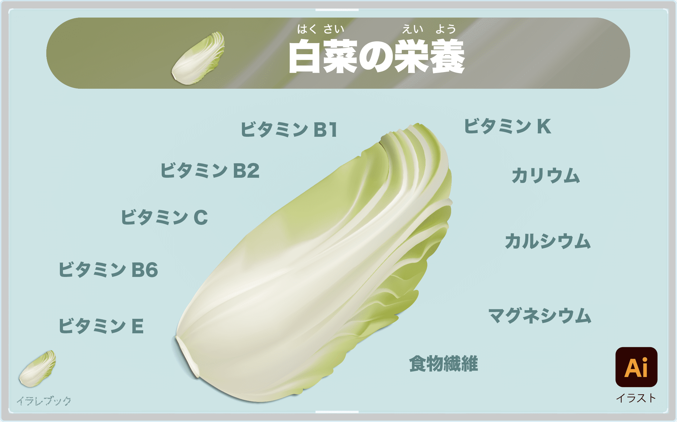 白菜の栄養一覧イラスト