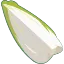 カットした白菜