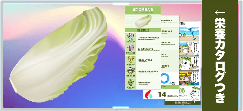 【白菜の栄養】イラストでわかる白菜の選び方 花言葉や生産地