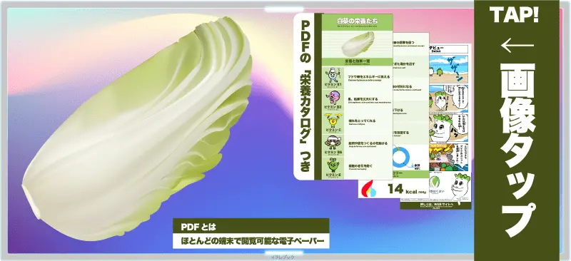 白菜の栄養たち PDF