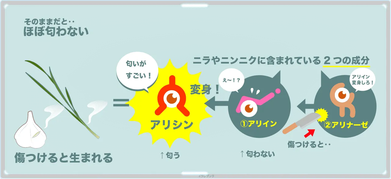 ニラの匂い