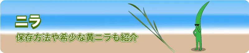 ニラ