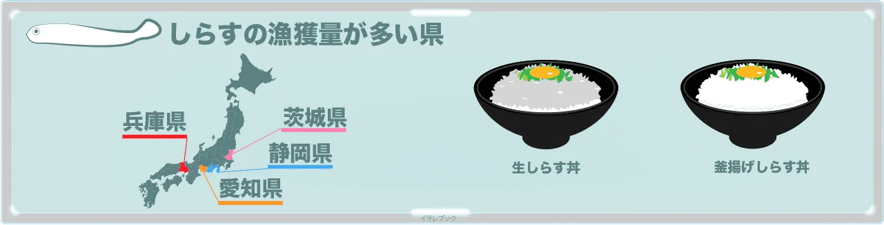 しらすの名産地