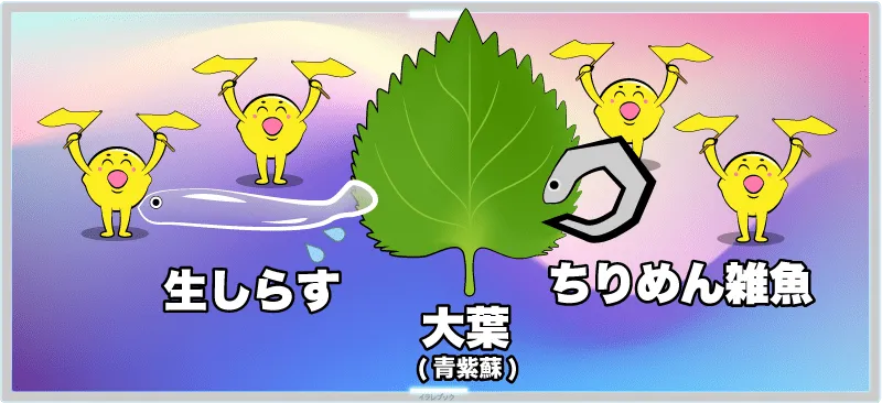 大葉と生しらす～ちりめんじゃこでビタミンCパワーアップ