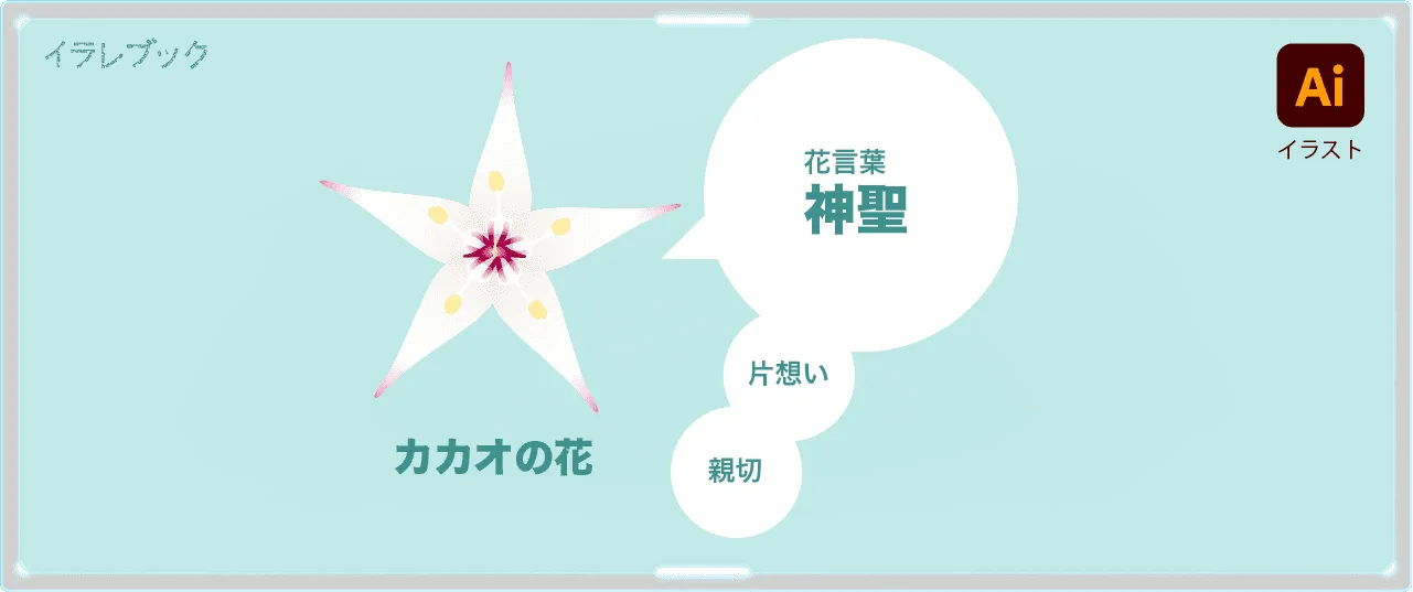 カカオの花言葉は神聖