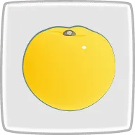 柚子
