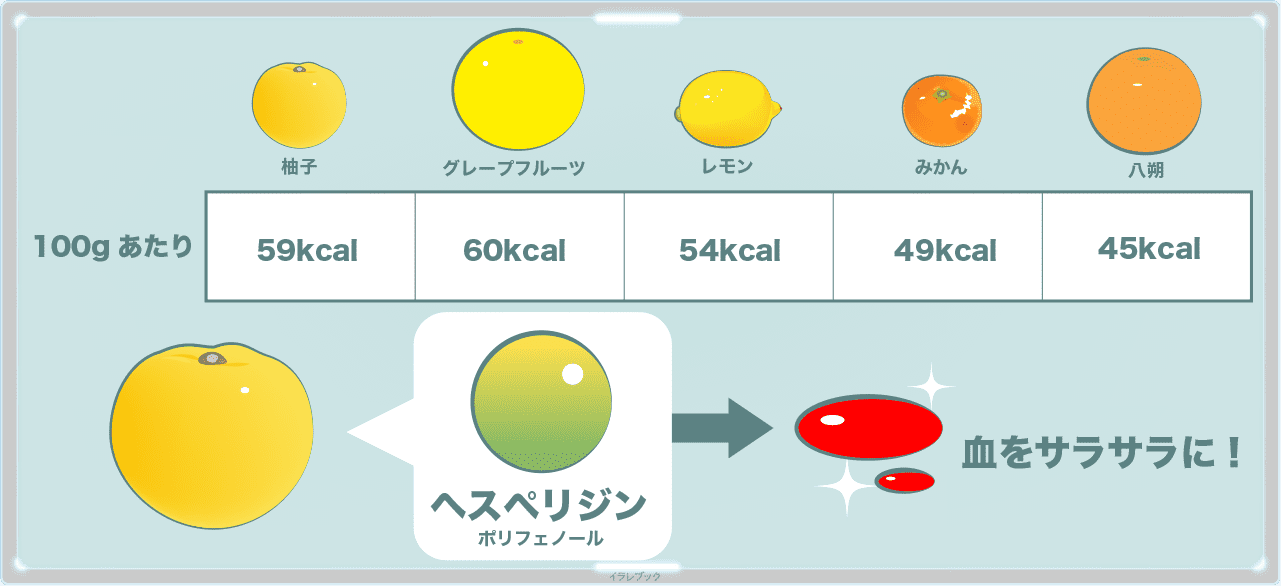 柚子のカロリー表とヘスペリジン