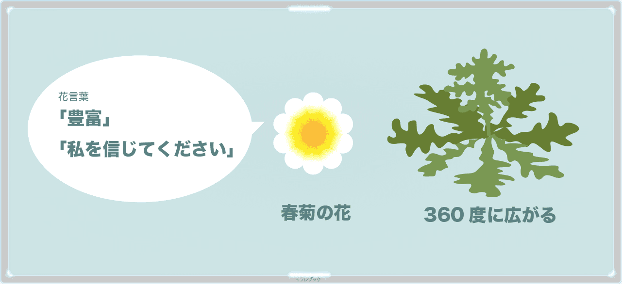 春菊の花言葉