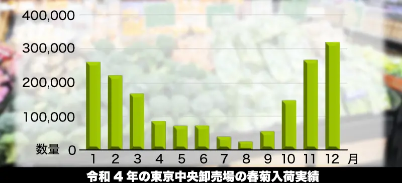 令和4年の東京中央卸売場の春菊入荷実績グラフ
