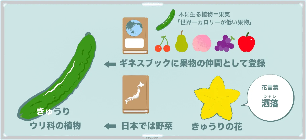 きゅうり