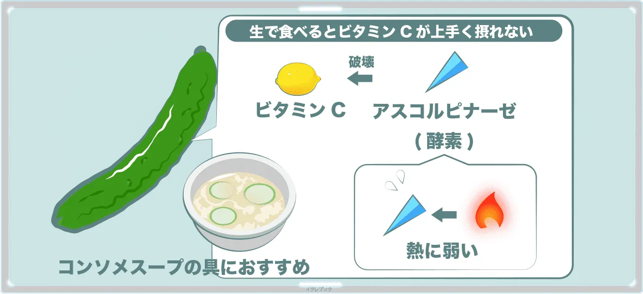 きゅうり