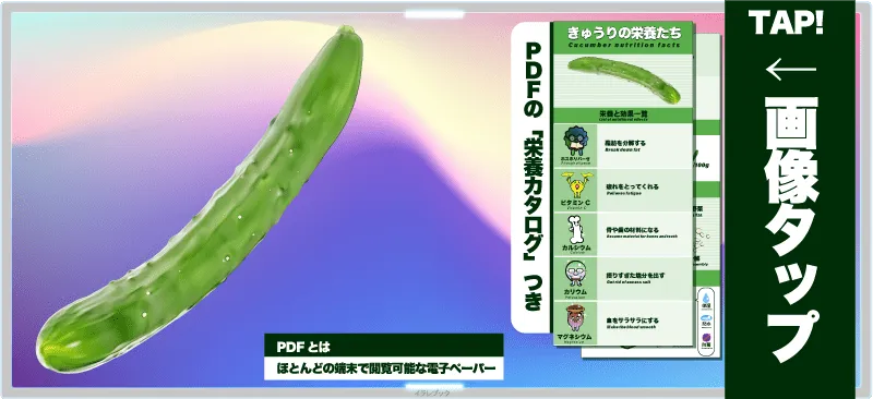 【きゅうりの栄養】イラストでわかる効果と食べ方