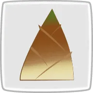孟宗竹