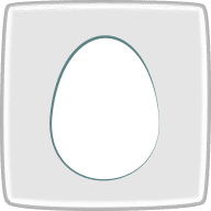 卵の概要