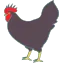 岡崎おうはん