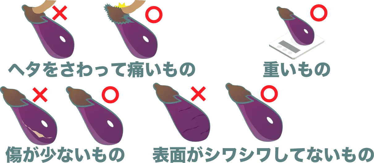 ナスは、ヘタをさわって痛いもの、重いもの、傷が少ないもの、表面がシワシワしてないものを選ぶ