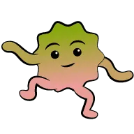 カルシウムを吸収しやすくする。