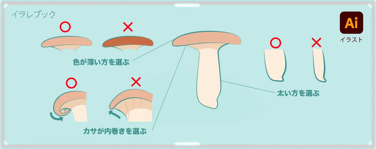 エリンギの美味しい選び方