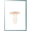 賞味期限と保存方法