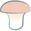 王リンギ