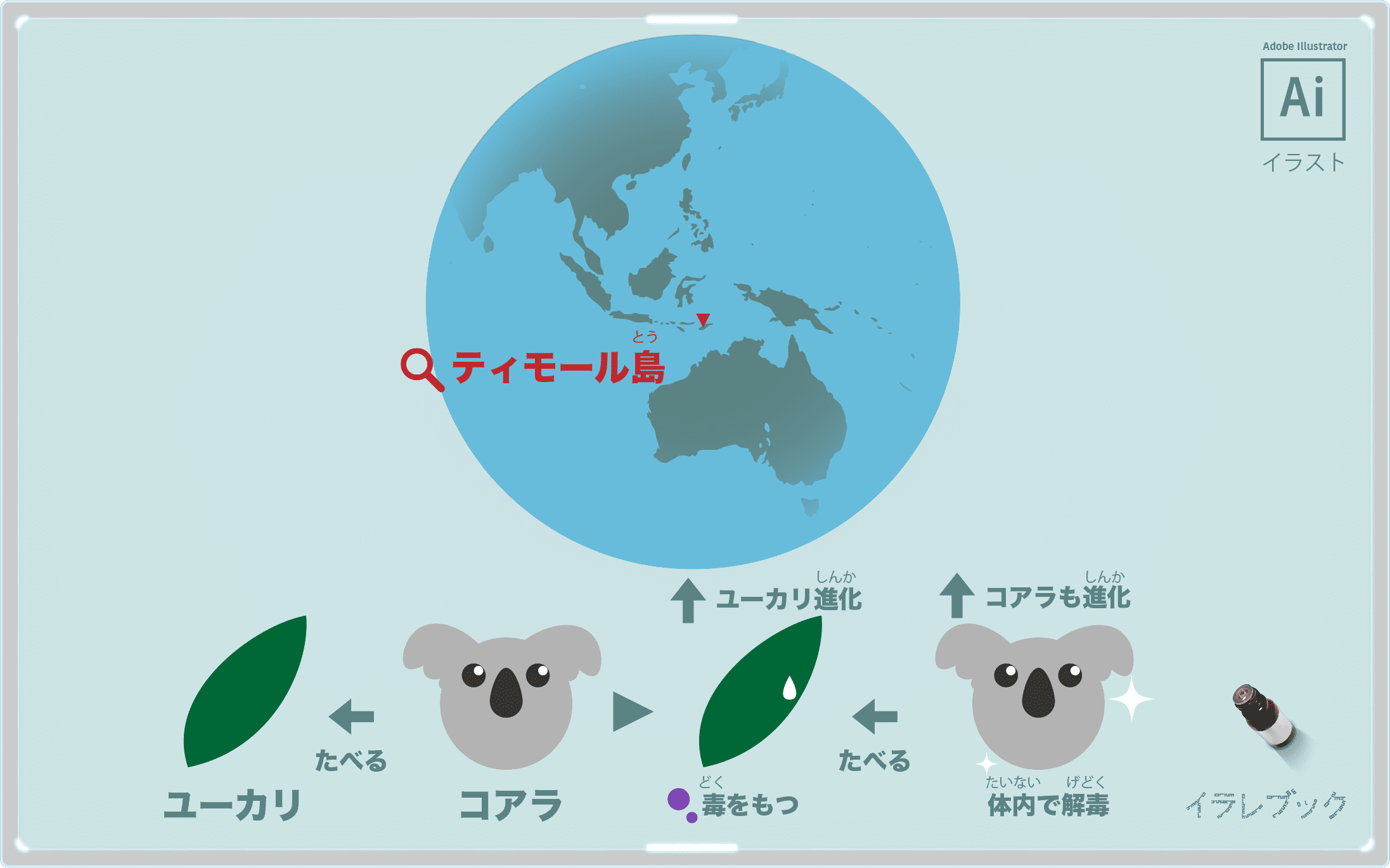 ユーカリが初めて発見されたのはティモール島。ユーカリとコアラの関係のイラスト