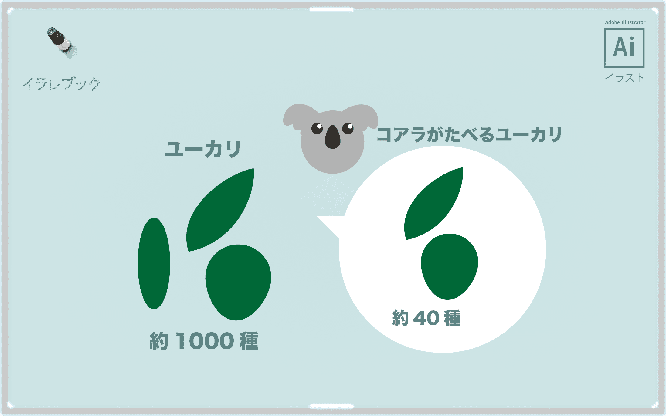 ユーカリ イラスト 詳細と香りの成分と効果 コアラとの関係を画像で解説 Good