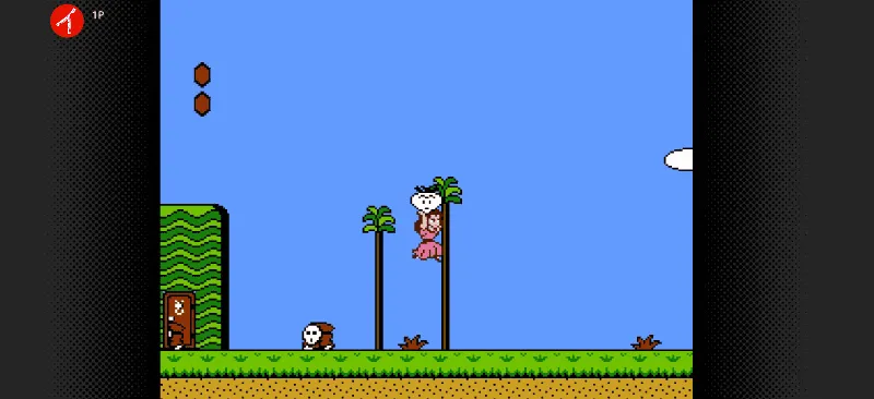 スーパーマリオUSAのゲーム画面