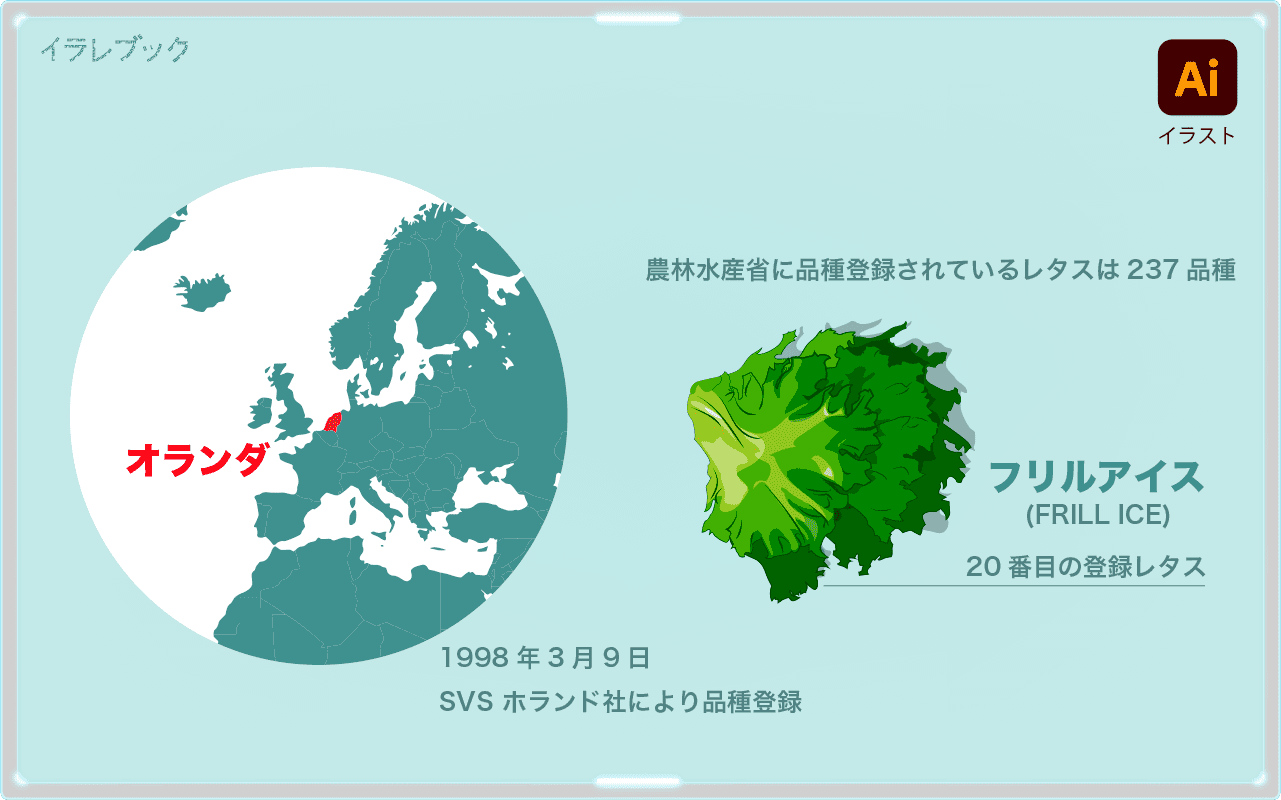 レタスは不眠の味方 レタスチャーハンはいつから などの疑問も解決 Lettuce