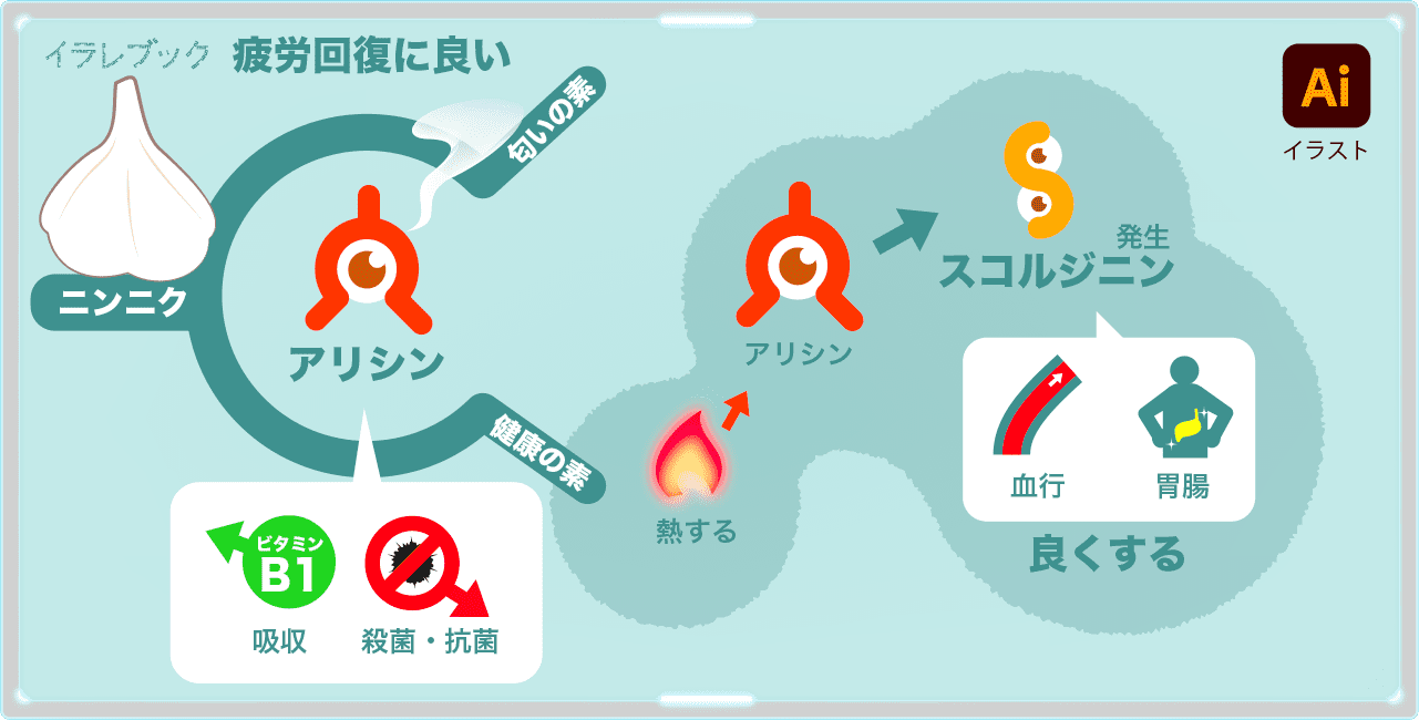 ニンニクの匂いの素であるアリシンの効果