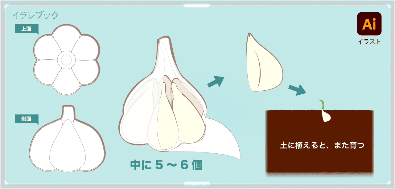 ニンニクの人気料理シュクメルリを食べよう 匂いを消す方法つき Garlic
