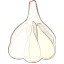 にんにくの木