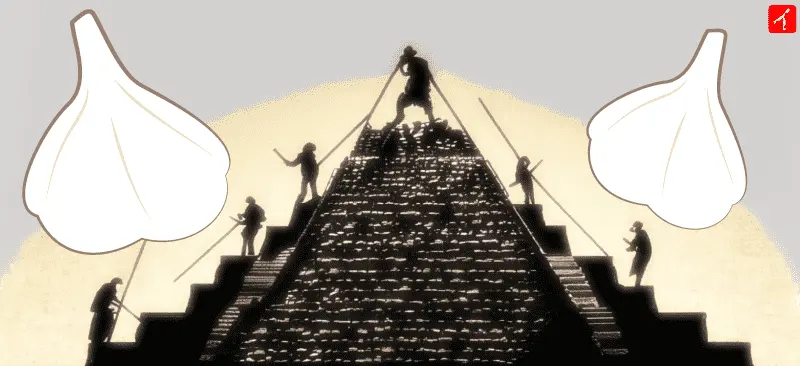 にんにくは、ピラミッド建築の労働者たちのスタミナ源