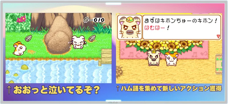 とっとこハム太郎3 ラブラブ大冒険でちゅ