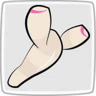 新生姜とは
