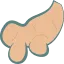 親生姜