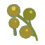 山椒
