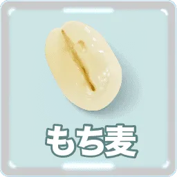 もち麦