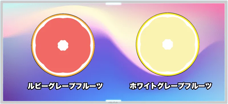 ルビーグレープフルーツとホワイトグレープフルーツ