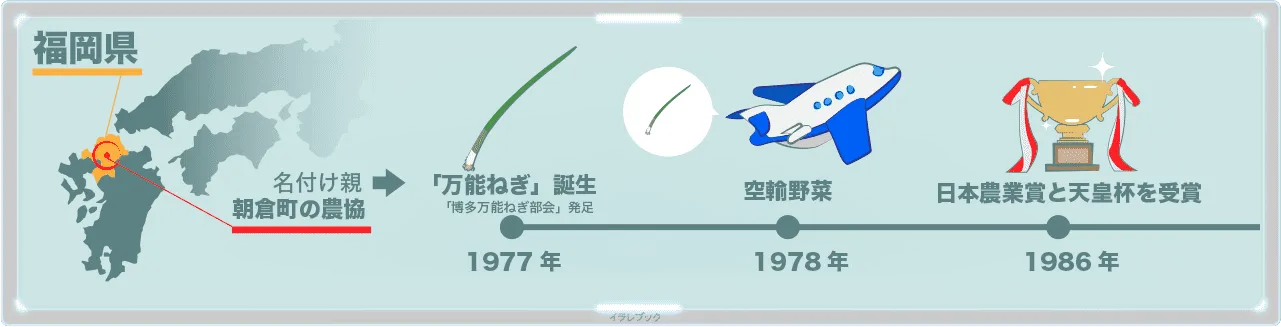 博多万能ねぎのあゆみ