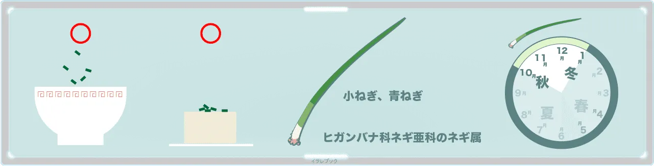 ネギは何でもあう！