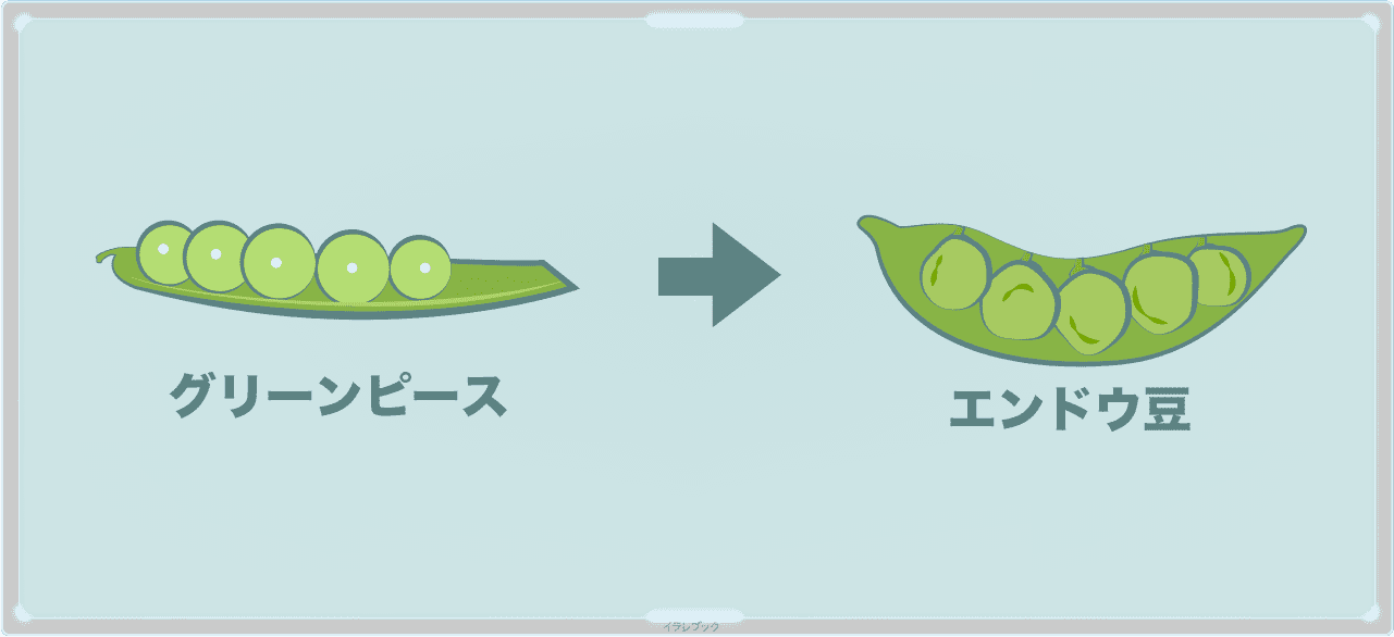 グリーンピース→エンドウ豆