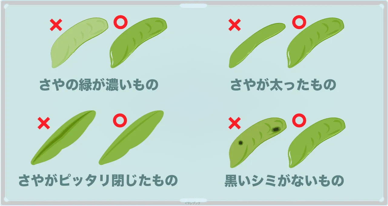 グリーンピースは、さやの緑が濃いもので太っていて、ぴったり閉じて、黒いシミが無いものを選ぼう