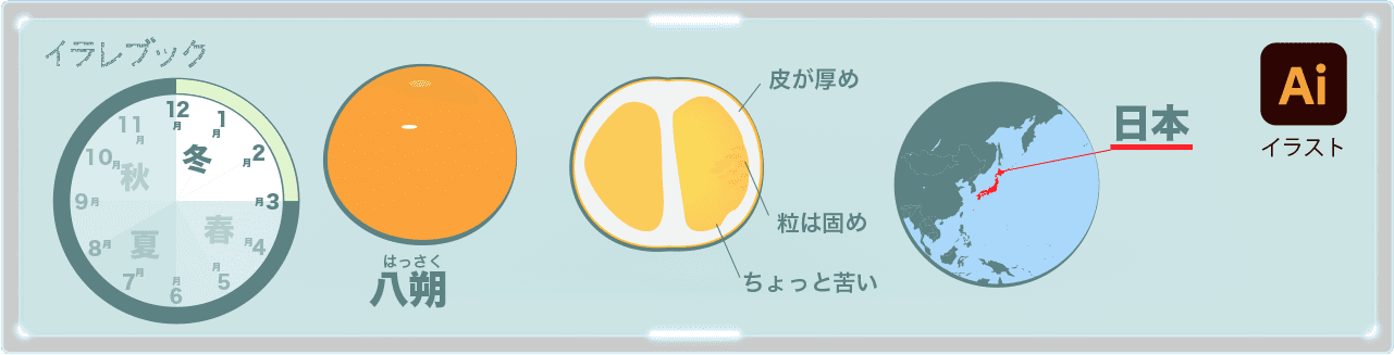 はっさくは日本で作られる柑橘類。皮は厚めで粒は固めで苦い
