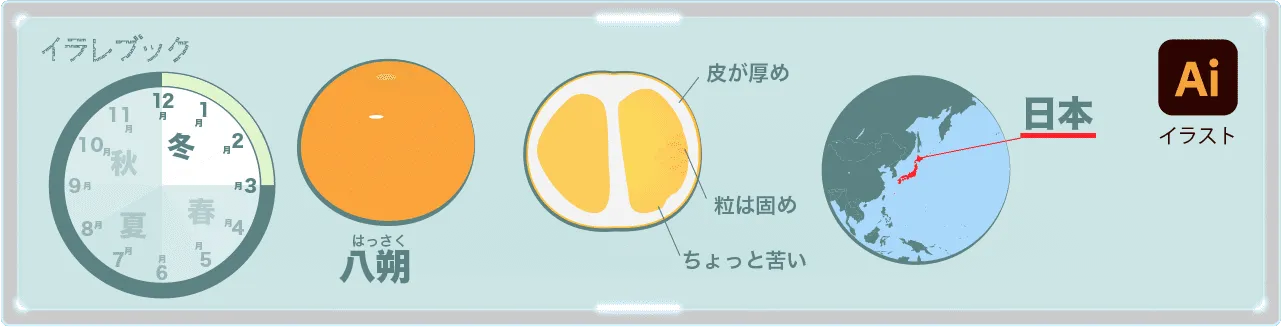 はっさくは日本で作られる柑橘類。皮は厚めで粒は固めで苦い