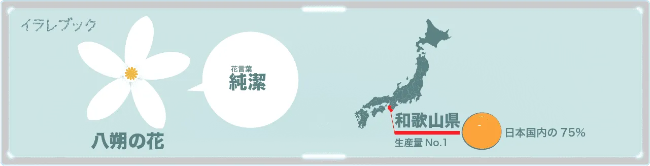 はっさくの花と国内生産量TOPの和歌山県